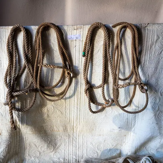 Four spliced rope Head stalls,