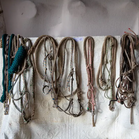 Seven rope Head stalls and four leads