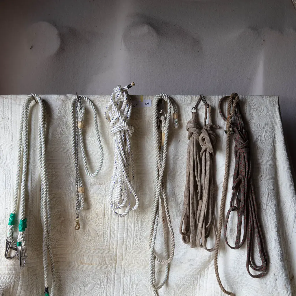 Six short leads and three long lead ropes, Image 1++