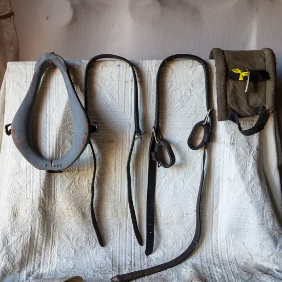 Collar, tugs, lunge pad, belly band,