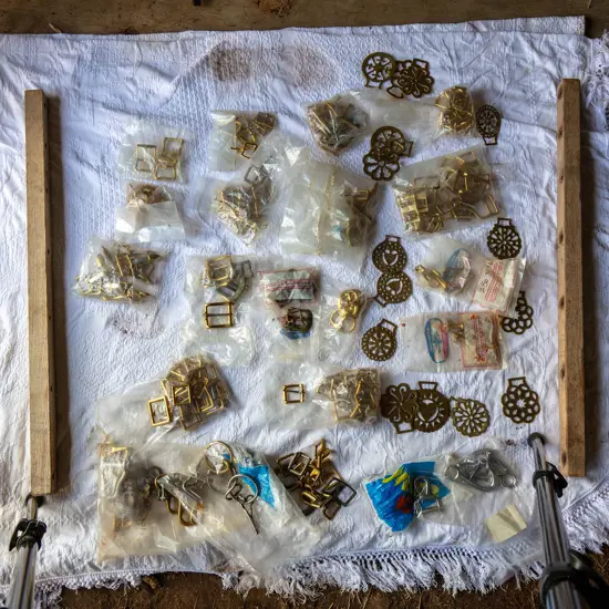 Medallions, small clips and buckles,