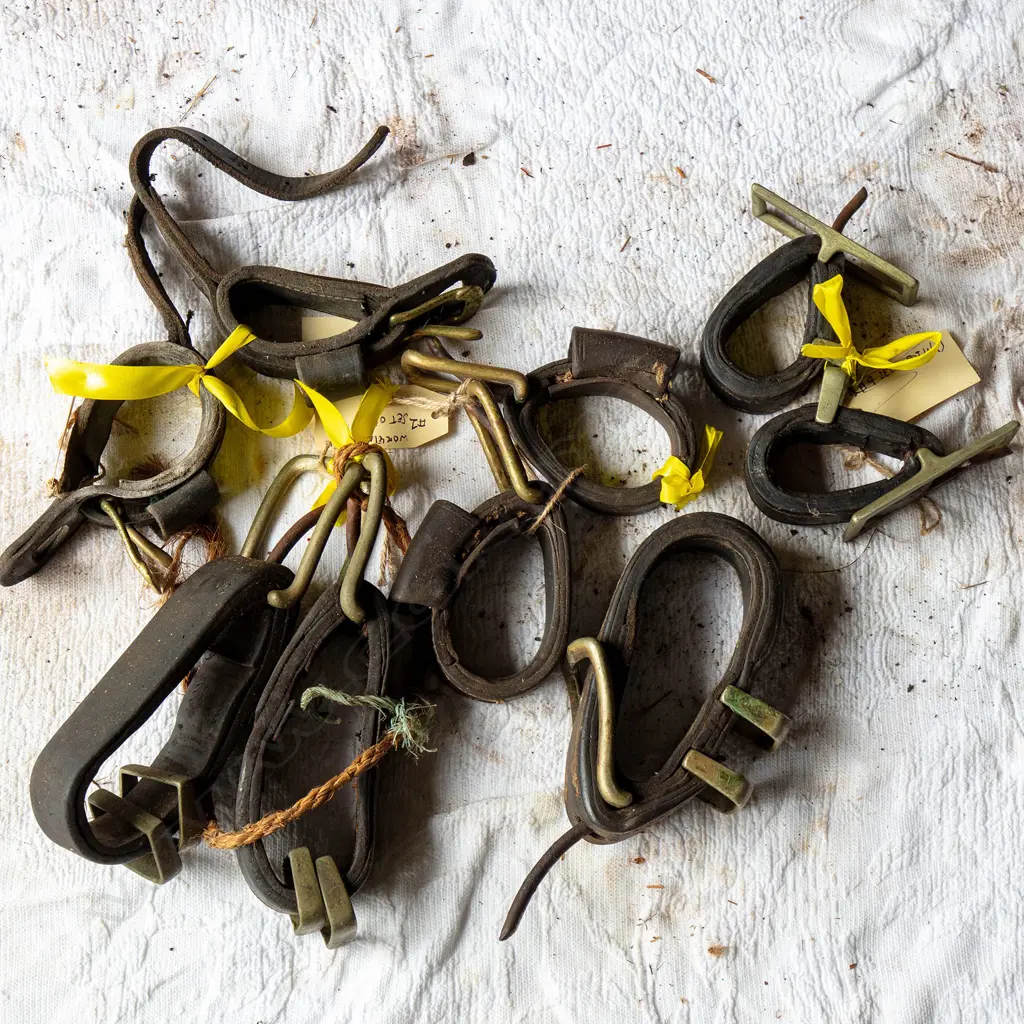 Nine Tugs, Image 1++