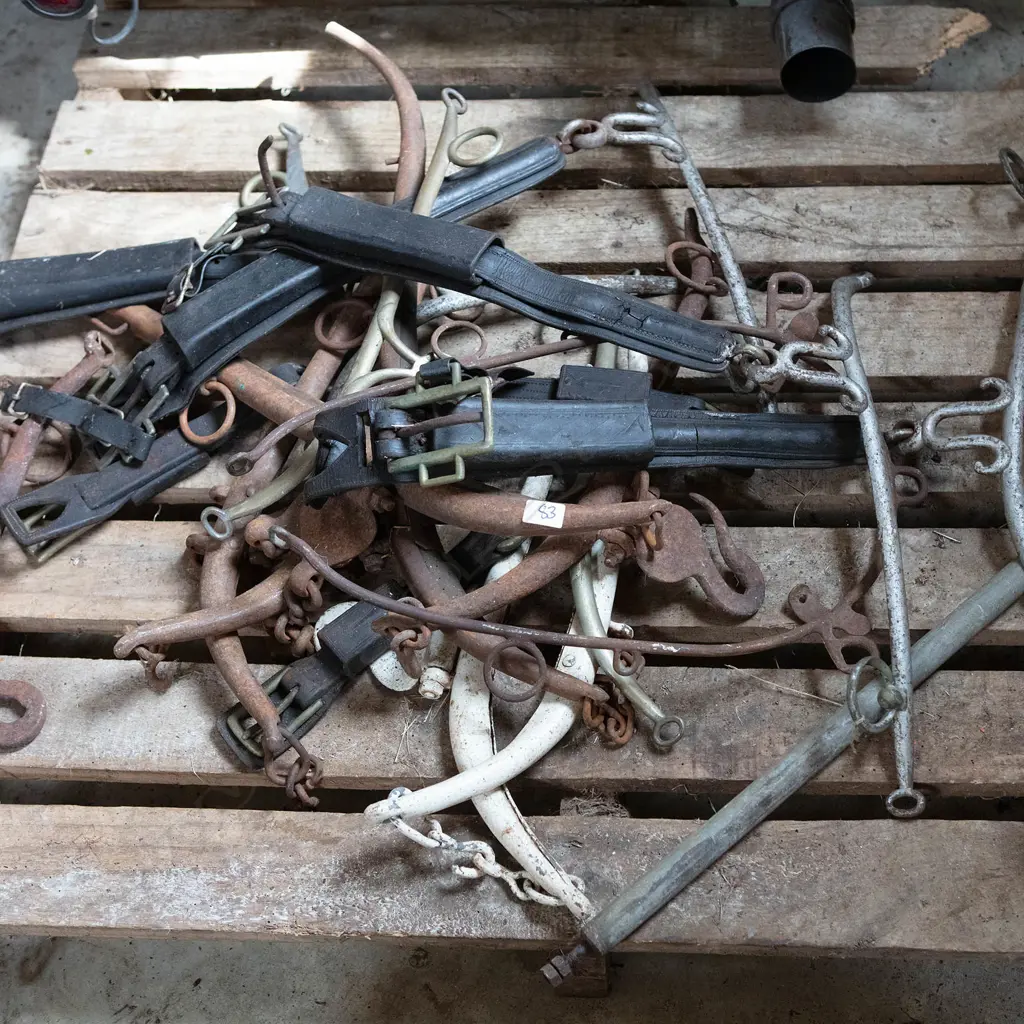 Old stainless and wooden Hames, Image 1++