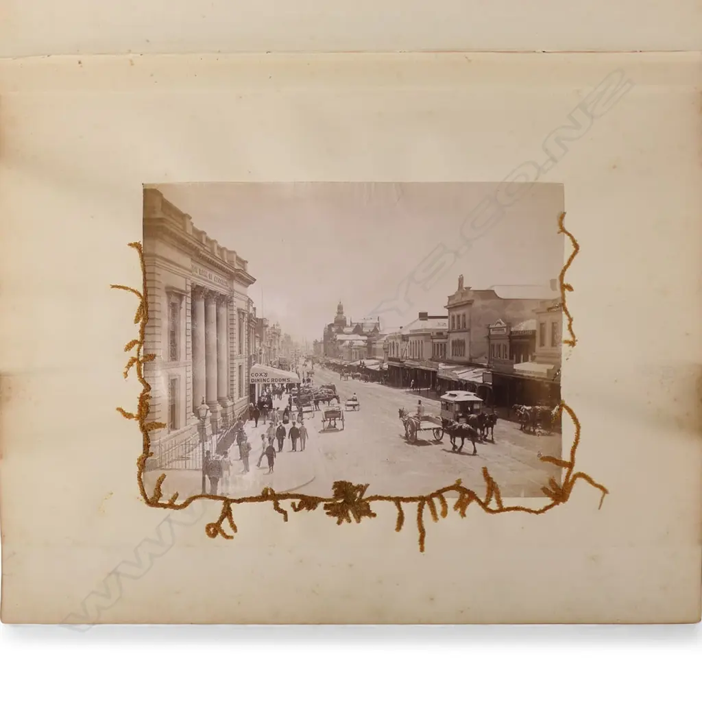 A colonial mottled kauri bound album 'New Zealand Ferns and Scenery', Image 1++