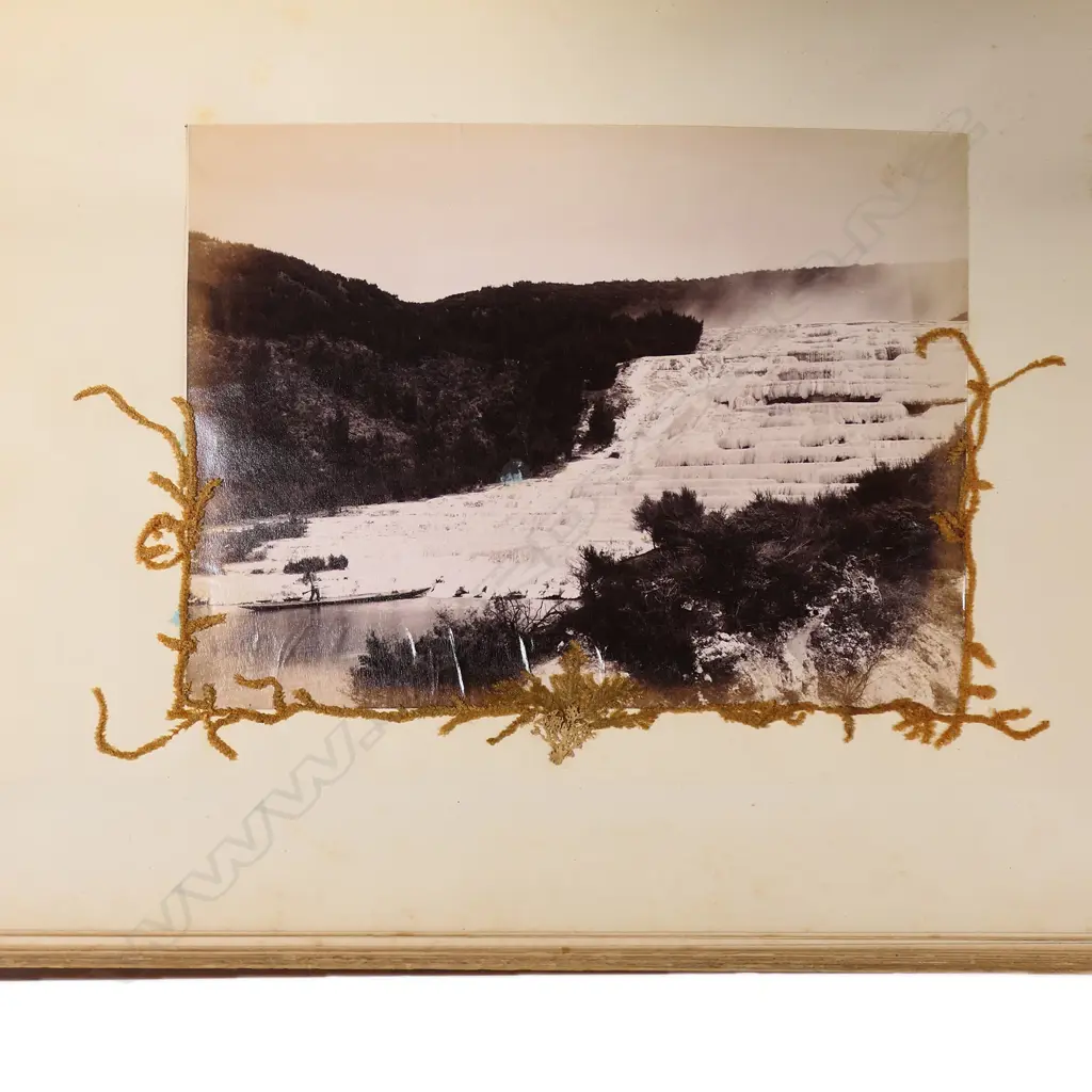 A colonial mottled kauri bound album 'New Zealand Ferns and Scenery', Image 1++