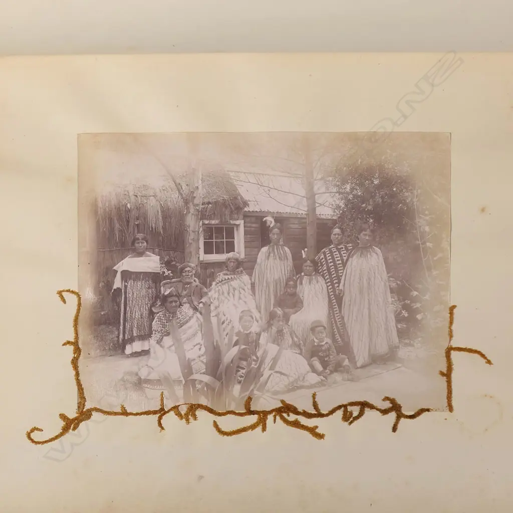 A colonial mottled kauri bound album 'New Zealand Ferns and Scenery', Image 1++