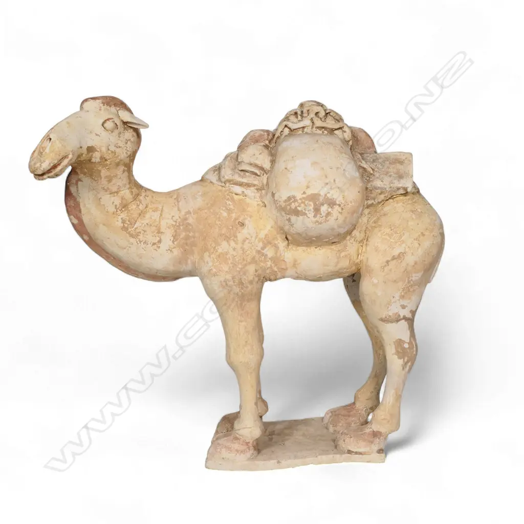 A reputedly Tang Dynasty pottery camel, Image 1++