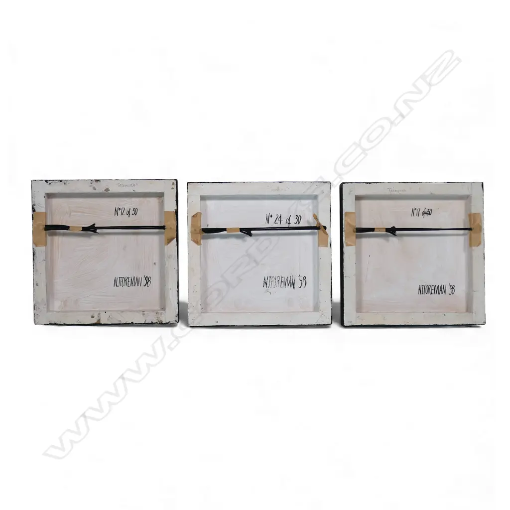 Nicky Foreman (NZ 1970-), 'untitled', Image 1++