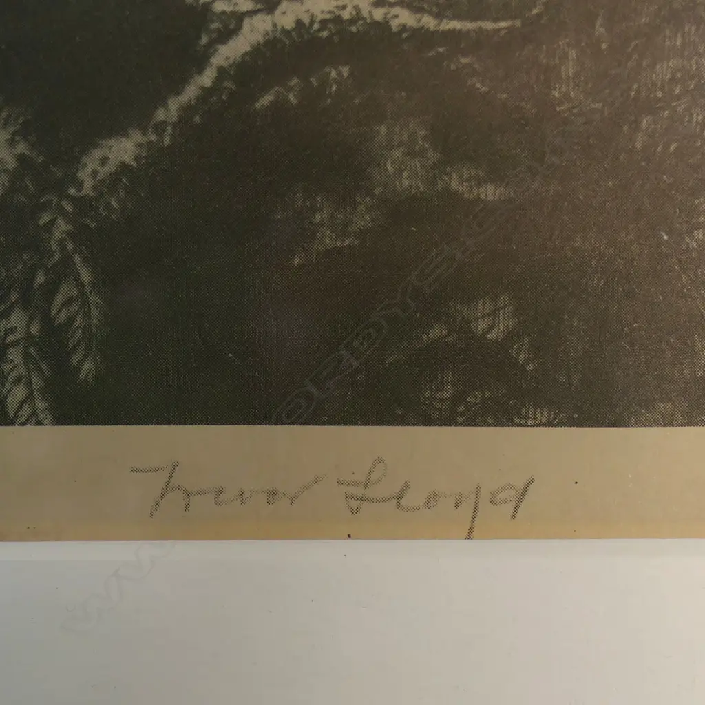 Trevor Lloyd 'Moonlight', Image 1++