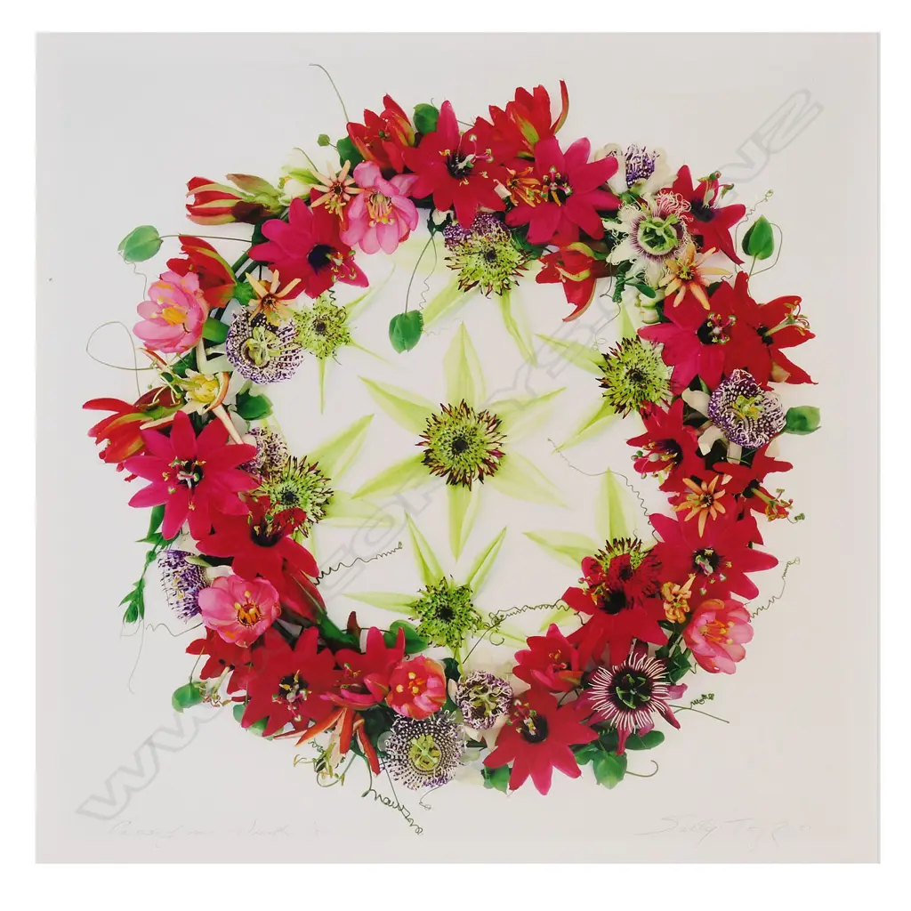 Sally Tagg 'Wreath with Star', Image 1++
