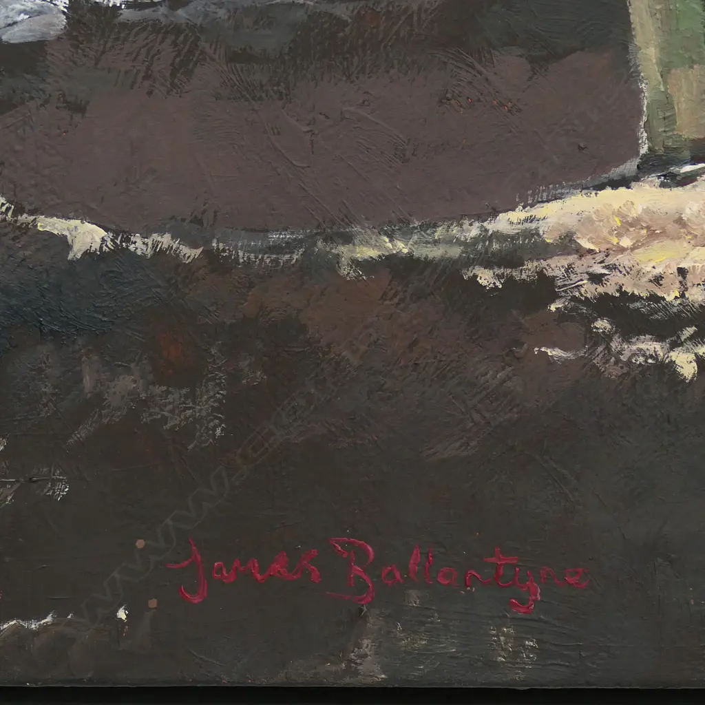 James Ballantyne (NZ) Muriwai Gannet Colony, Image 1++