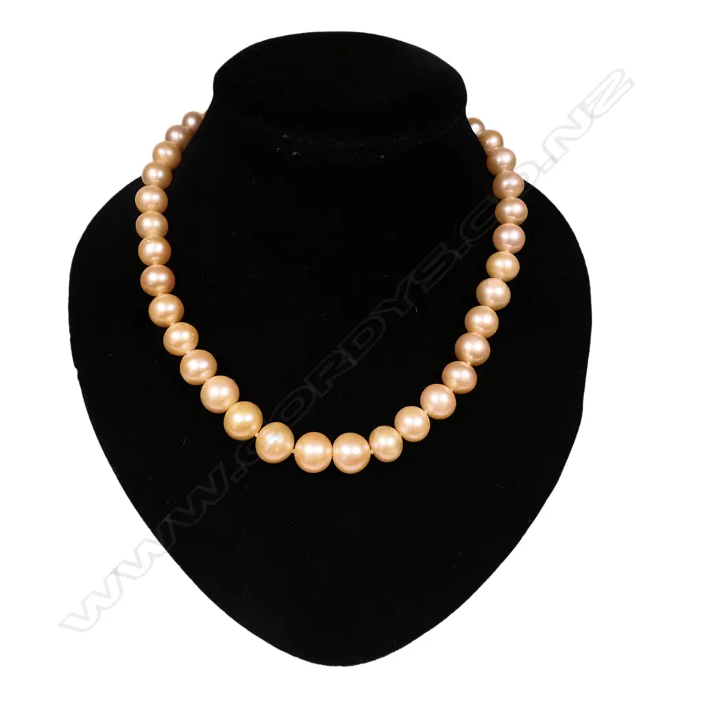 A necklace of golden peach cultured fresh water pearls, Image 1++