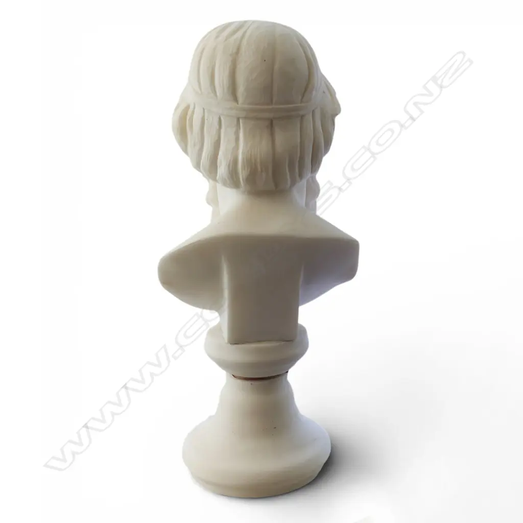 A white marble bust representing the Greek philosopher Plato, Image 1++