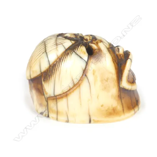 An old Japanese carved ivory lotus netsuke