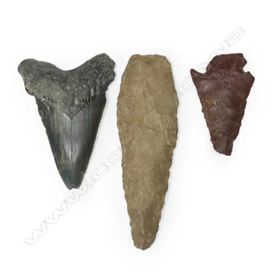 A pair of neolithic stone arrowheads and a megalodon tooth,