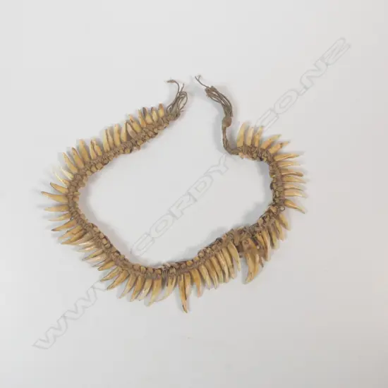 A dog tooth necklace,