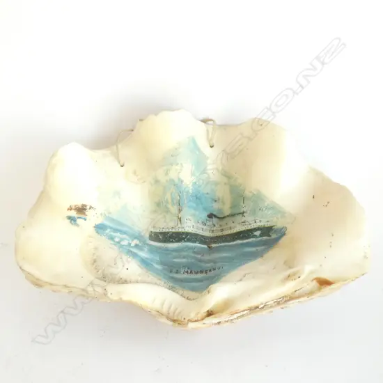 LARGE SHELL PAINTED WITH S.S. MAUNGANUI 