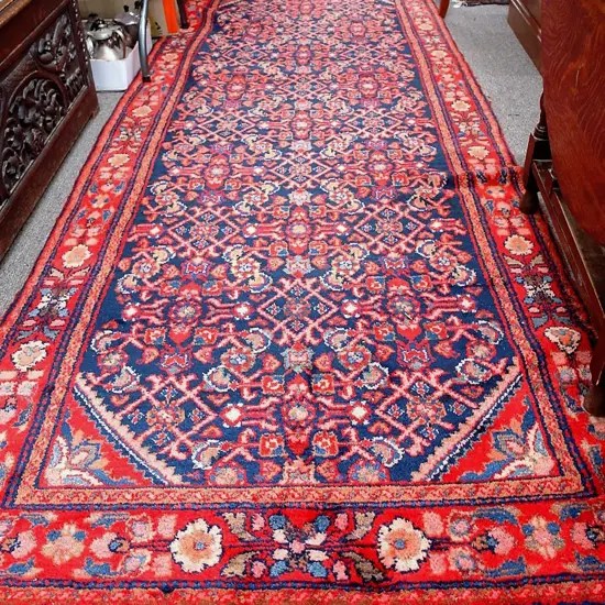 An Iranian Hamadan runner