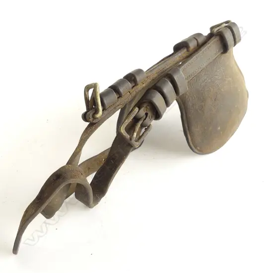 A set of leather horse tack blinkers