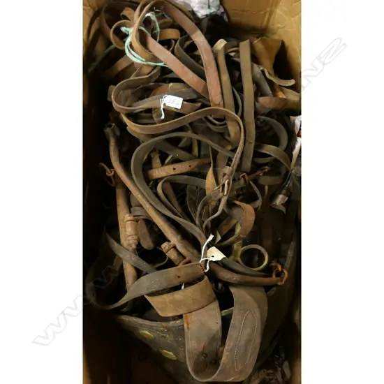 Very large box full of leather saddle straps, etc