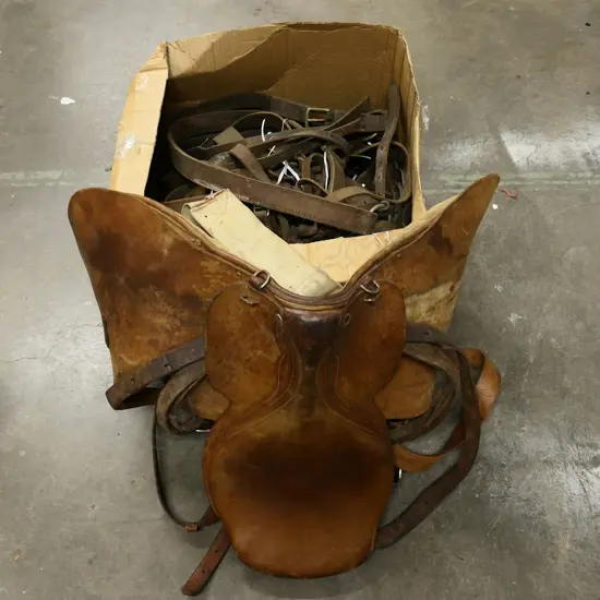 * A leather saddle along with a box of various straps