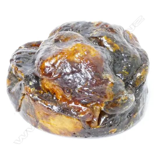 A piece of kauri gum