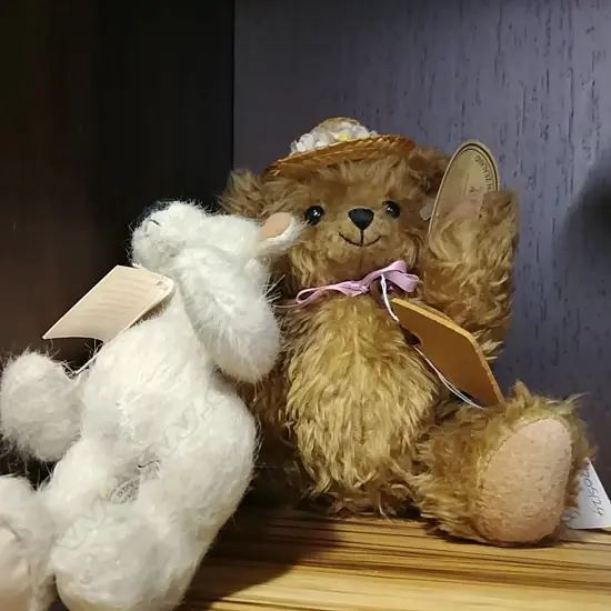 NZ BEAR AND AUSTRALIAN BEAR