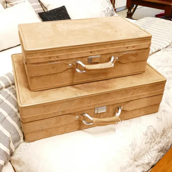 HARTMANN SUEDE 2 PIECE LUGGAGE SUITE