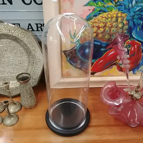 GLASS DISPLAY DOME I
