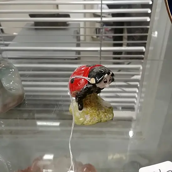 R.A. B.POTTER MOTHER LADYBIRD BP 6A