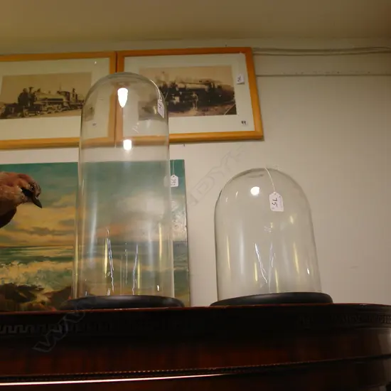 2 GLASS DISPLAY DOMES + STANDS, 280 & 480MM