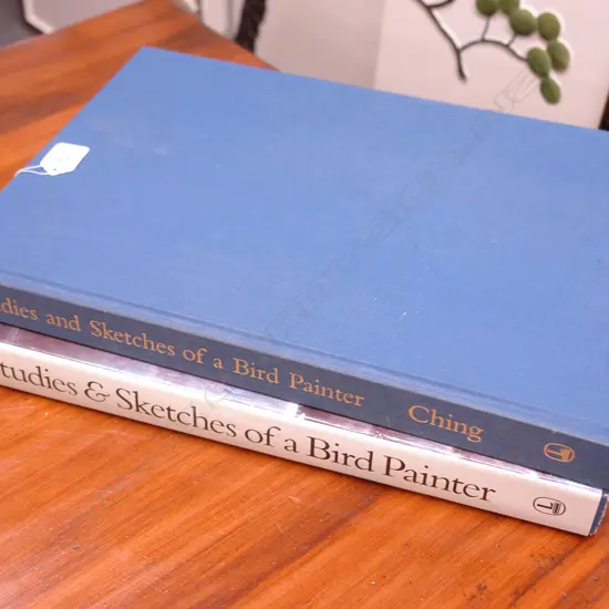 R CHING BOOK-STUDIES&SKETCHES OF A BIRD PAINTER