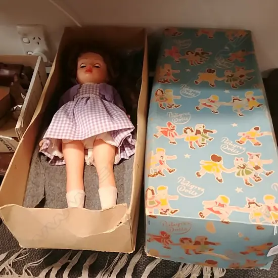 BOXED PEDIGREE DOLL