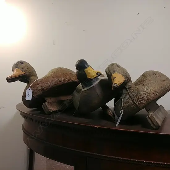 3 PLASTIC DECOY DUCKS