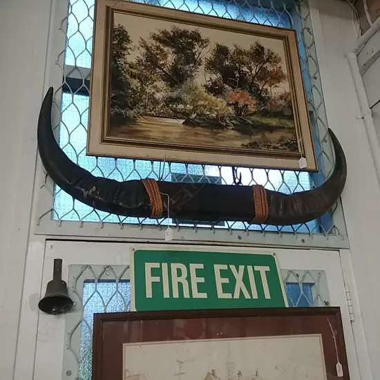 SET VINTAGE BUFFALO HORNS