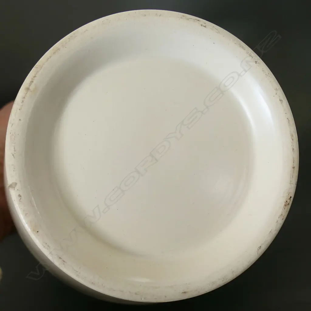 Ernest Shufflebotham Hand Potted Crown Lynn medium size vase, Image 1++