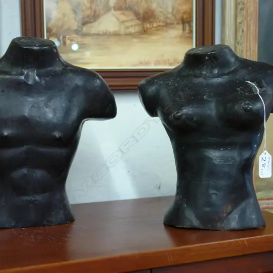 2 SM METAL TORSOS