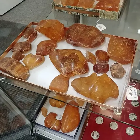 TRAY KAURI GUM NUGGETS