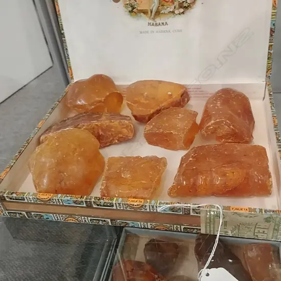 TRAY KAURI GUM NUGGETS