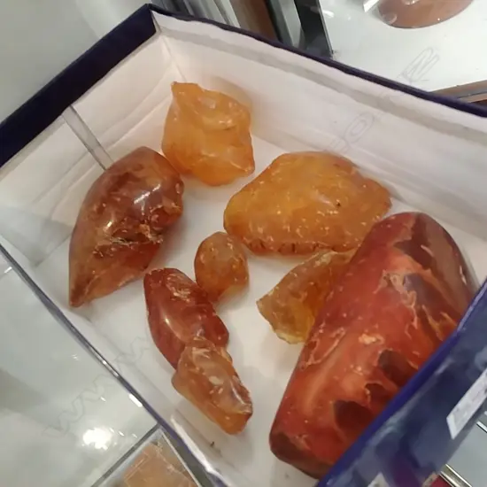 TRAY KAURI GUM NUGGETS