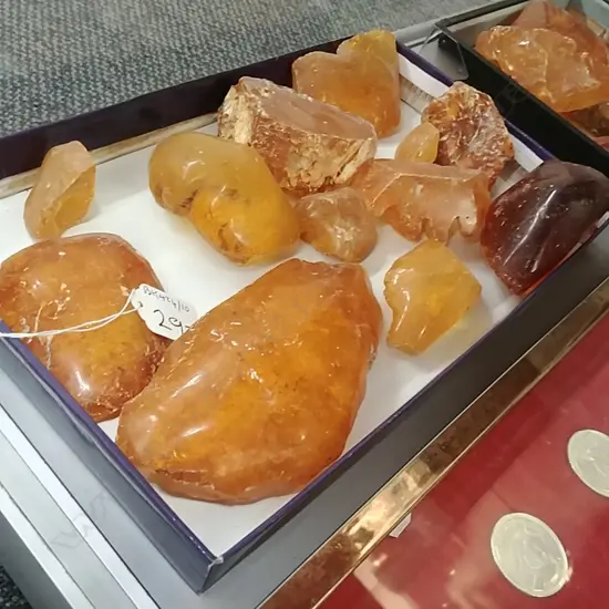 TRAY KAURI GUM NUGGETS