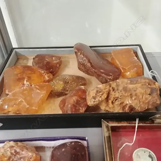 TRAY KAURI GUM NUGGETS