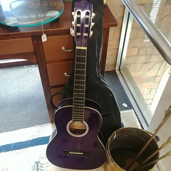 ASHTON ACOUSTIC GUITAR 