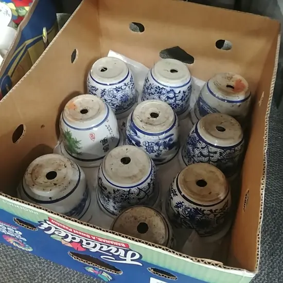 BOX ASST ORIENTAL PLANTERS