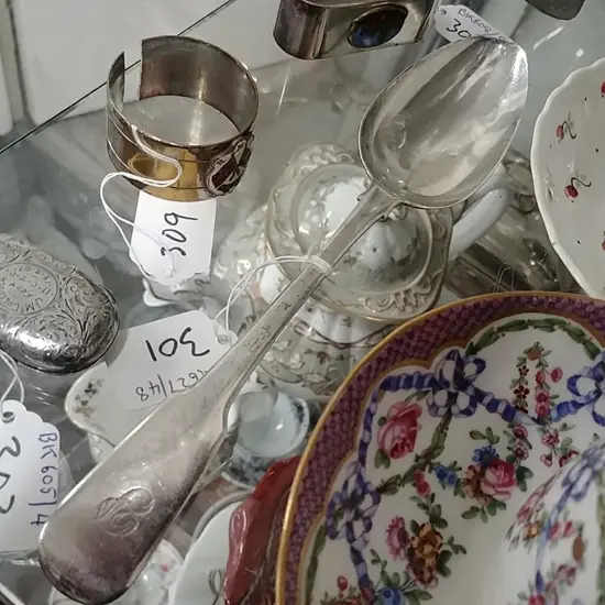 GEO S/S SERVING SPOON