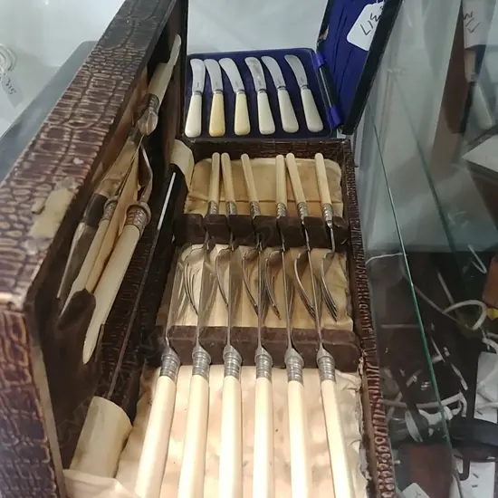 CASED FISH SET & KNIVES