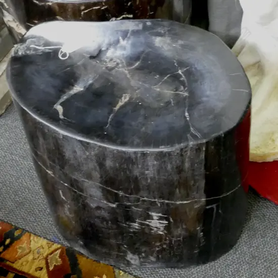 A heavy fossilised wood cylindrical stool