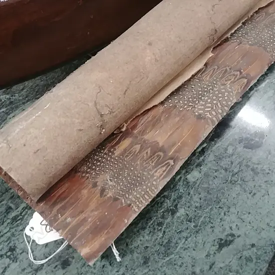 FEATHER WALL PAPER PC