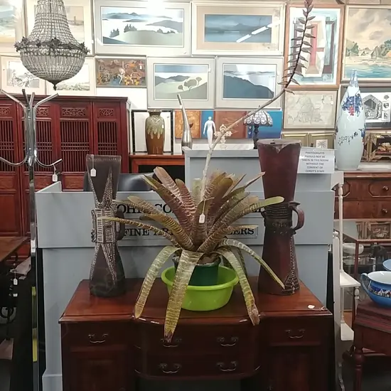 LARGE BROMELIAD PLANT