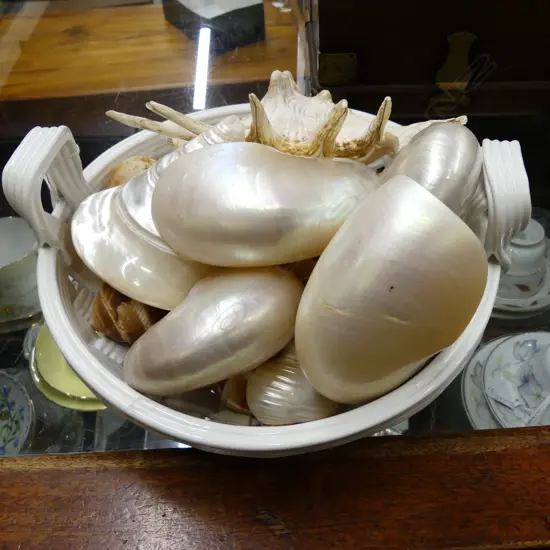 LATTICE BASKET W/ SHELL COLLECTION